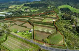 863 State Highway 2, Katikati