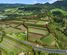 863 State Highway 2, Tanners Point, Western Bay Of Plenty, Bay of Plenty