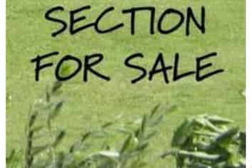 9 Waitai Close, Long Bay