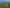1187 Peak Road, Waimauku