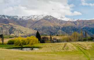 317  Crown Range Road, Dalefield/Wakatipu Basin