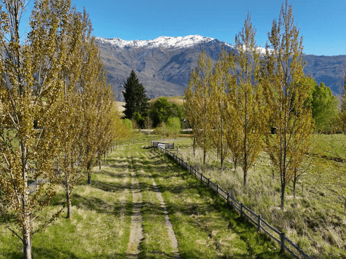 317  Crown Range Road, Dalefield/Wakatipu Basin
