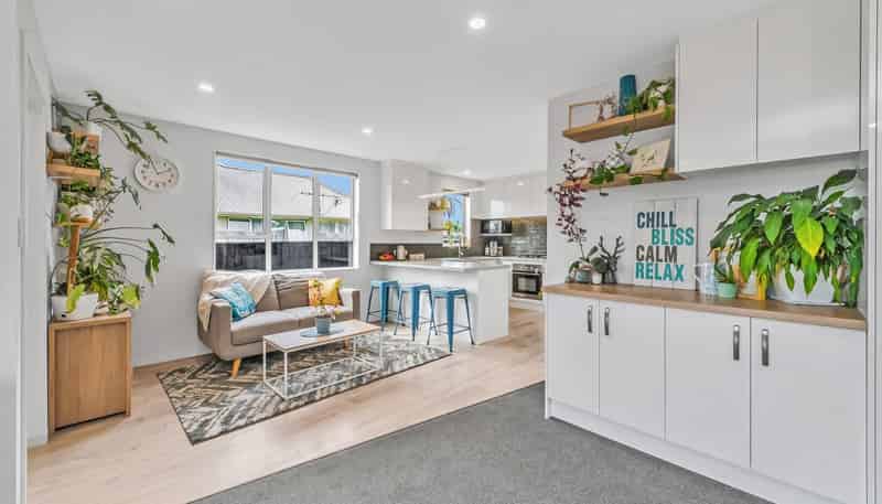 48 Briggs Road, Mairehau