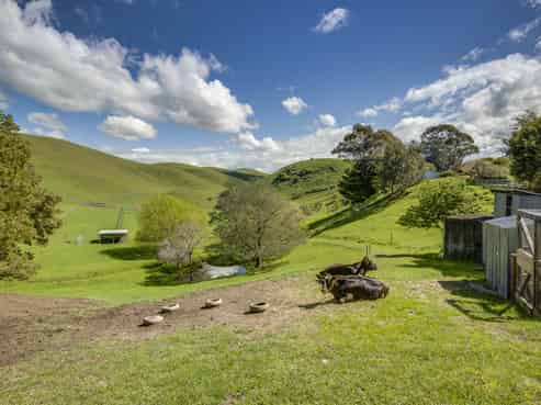 201 Endsleigh Road, Havelock North