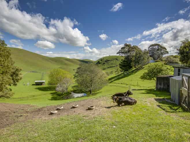 201 Endsleigh Road, Havelock North