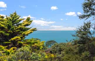 43 Cochrane Avenue, Arkles Bay