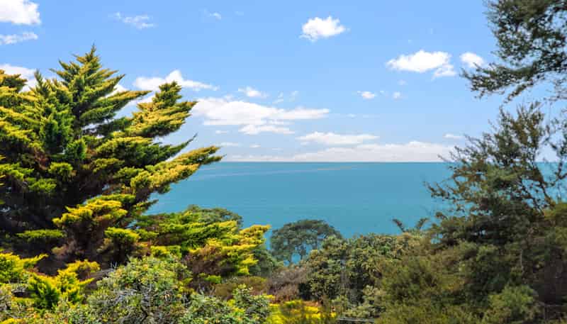 43 Cochrane Avenue, Arkles Bay