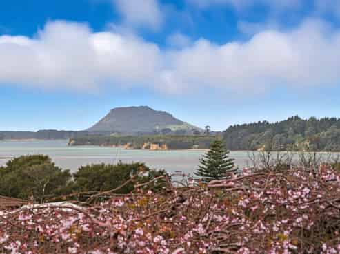 4 Owen Place, Omokoroa