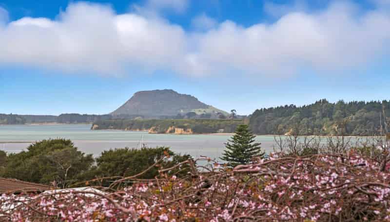 4 Owen Place, Omokoroa