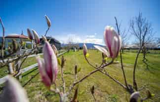 110 Aparima Drive, Te Anau