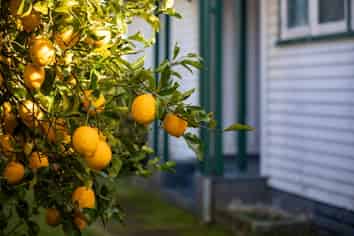 1/45 Ross Crescent, Fairfield