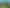 2710 Tiki Road, Coromandel