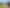 2710 Tiki Road, Coromandel