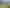 2710 Tiki Road, Coromandel