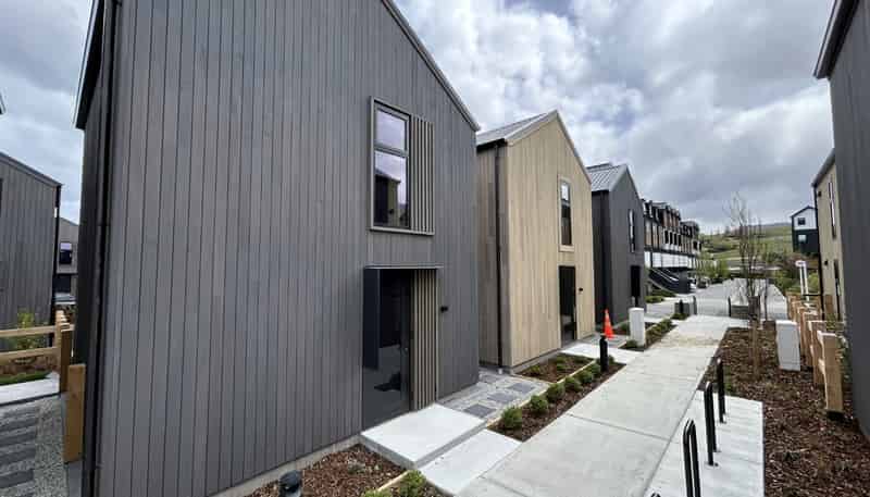 113 Delaney Loop, Frankton