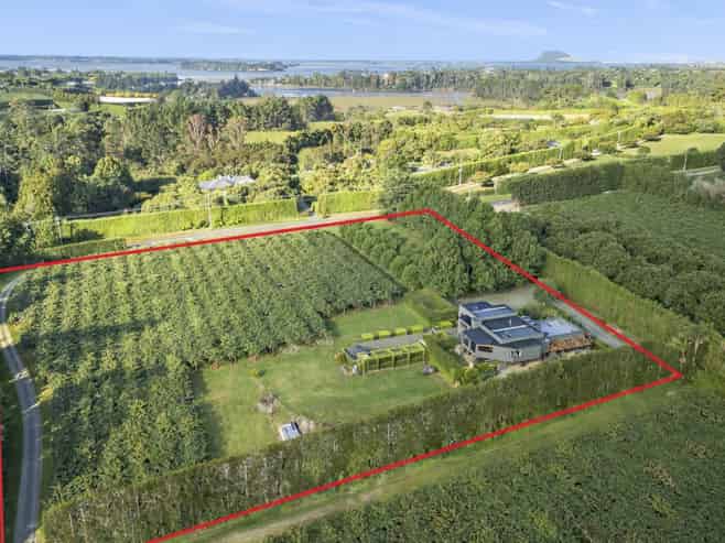 50 Emeny Road, Whakamarama