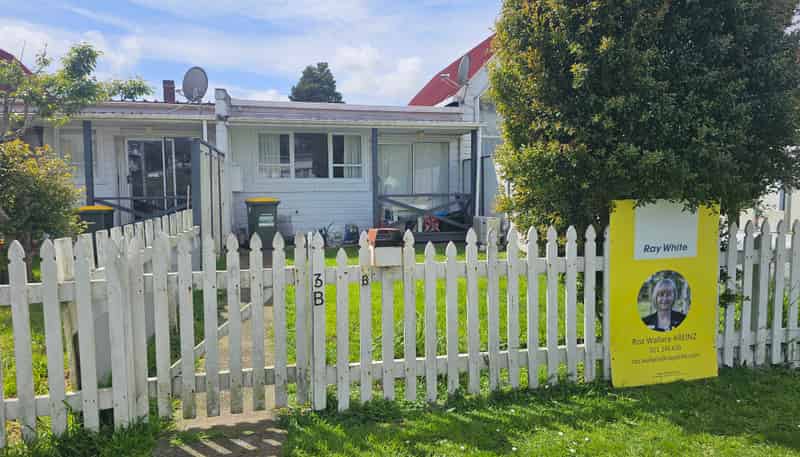 3B Montgomery Street, Levin