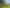 2639 Awhitu Road, Awhitu