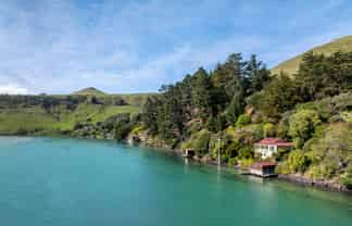 265 Cape Saunders Road, Cape Saunders