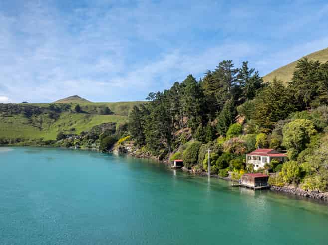 265 Cape Saunders Road, Cape Saunders
