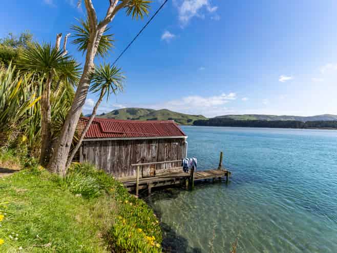 265 Cape Saunders Road, Cape Saunders