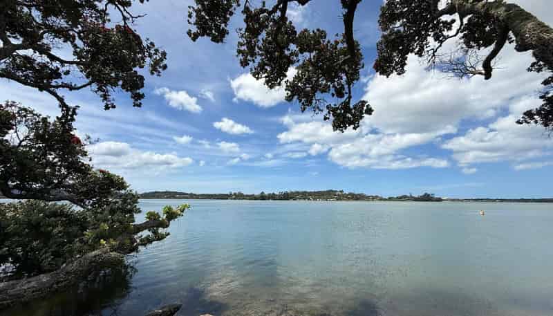 3 William Gilbert Drive, Mangawhai
