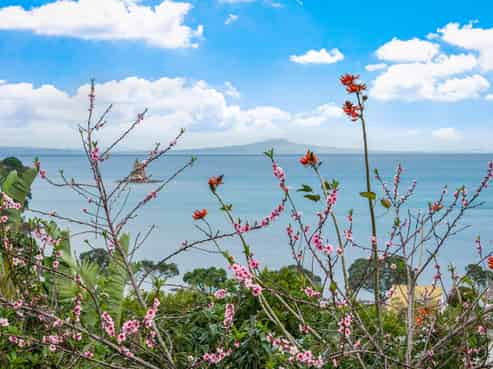 10 Zita Avenue, Matakatia