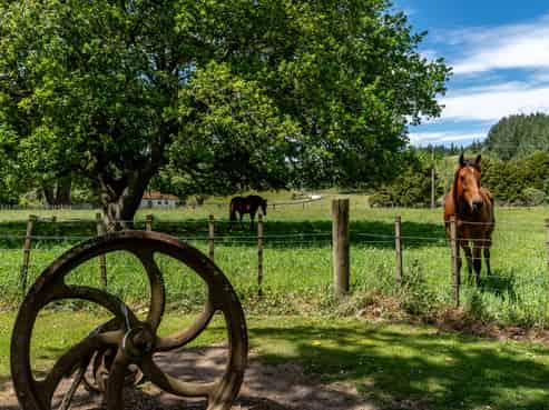 336 Puketiritiri Road, Stronvar