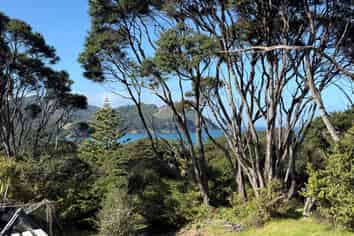 328 Blind Bay Road, Great Barrier Island
