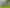 58 Youngs Rd, Papakura