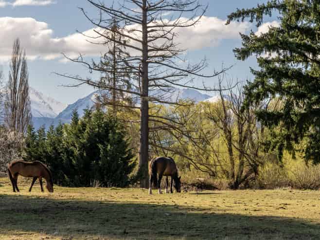 260 Glen Lyon Road, TWIZEL
