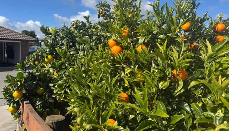 38D Kaipara Lake Road, Helensville