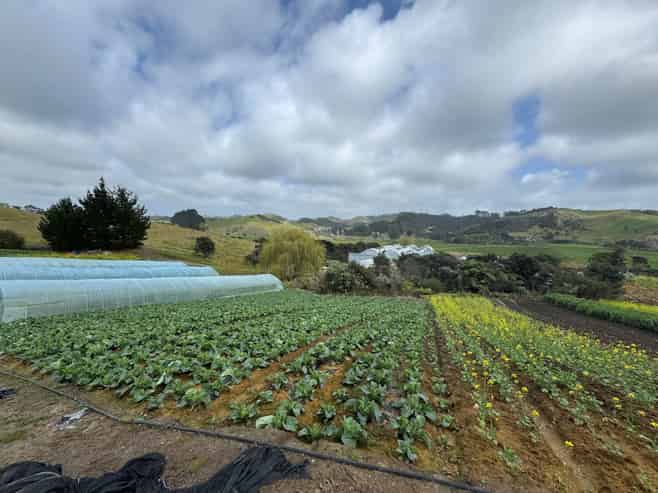 1755 South Head Road, South Head