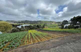 1755 South Head Road, South Head