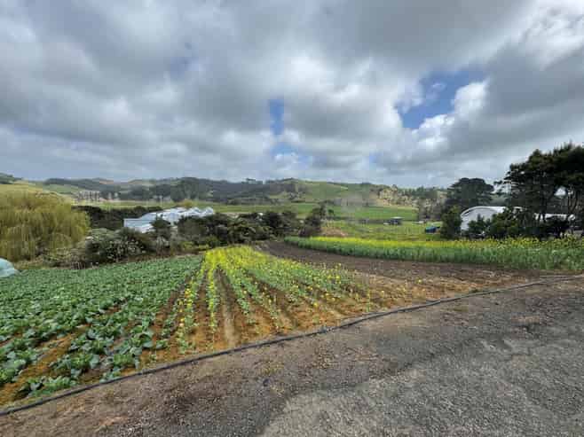 1755 South Head Road, South Head