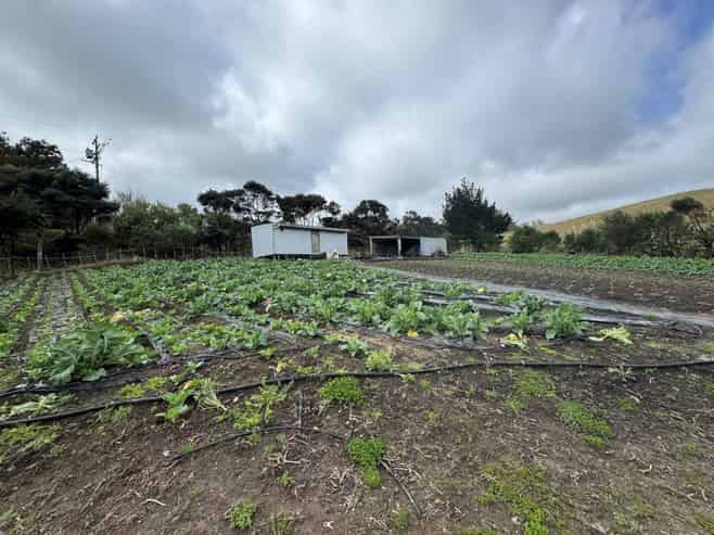 1755 South Head Road, South Head