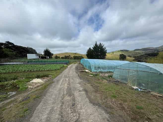 1755 South Head Road, South Head