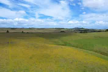 194 Toia Road, Okaihau