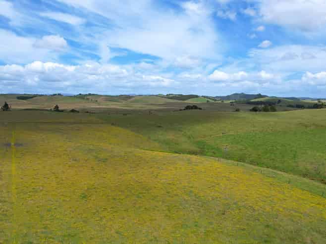 194 Toia Road, Okaihau