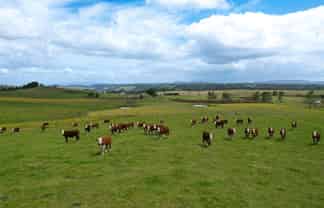 194 Toia Road, Okaihau