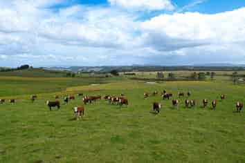 194 Toia Road, Okaihau