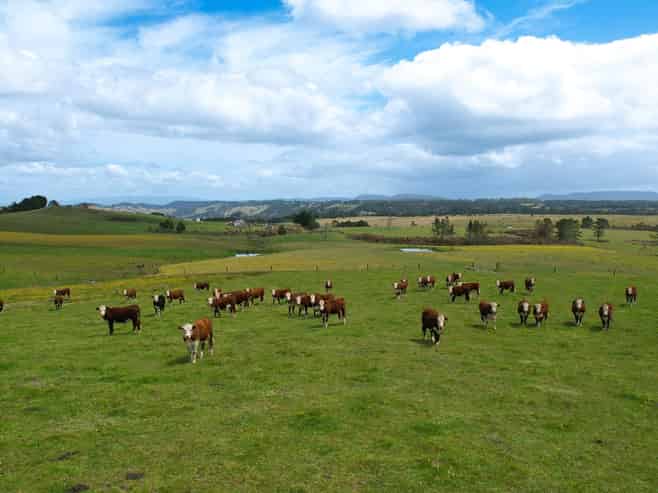 194 Toia Road, Okaihau