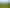 194 Toia Road, Okaihau