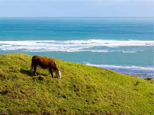 88 Lake Road, Kawhia