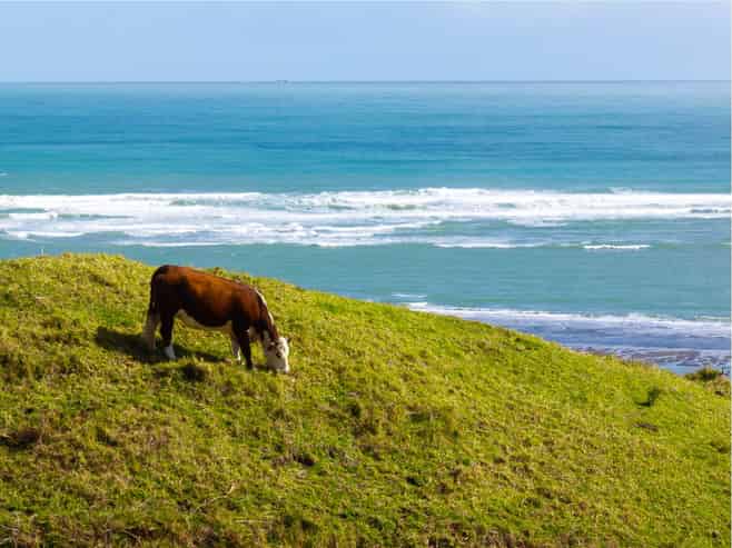 88 Lake Road, Kawhia