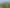 13 Mamaku Drive, One Tree Point