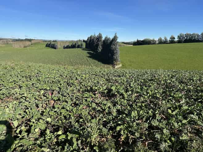 357 Landslip Valley Road, Pukerau