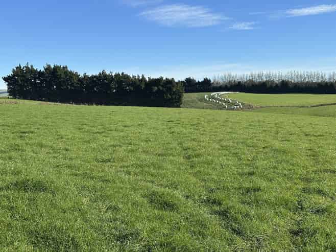 357 Landslip Valley Road, Pukerau