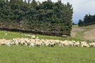 357 Landslip Valley Road, Pukerau, Gore, Southland