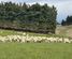 357 Landslip Valley Road, Pukerau, Gore, Southland